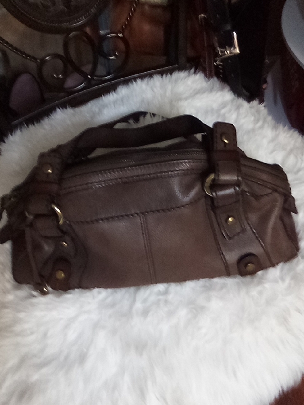 Fossil bag